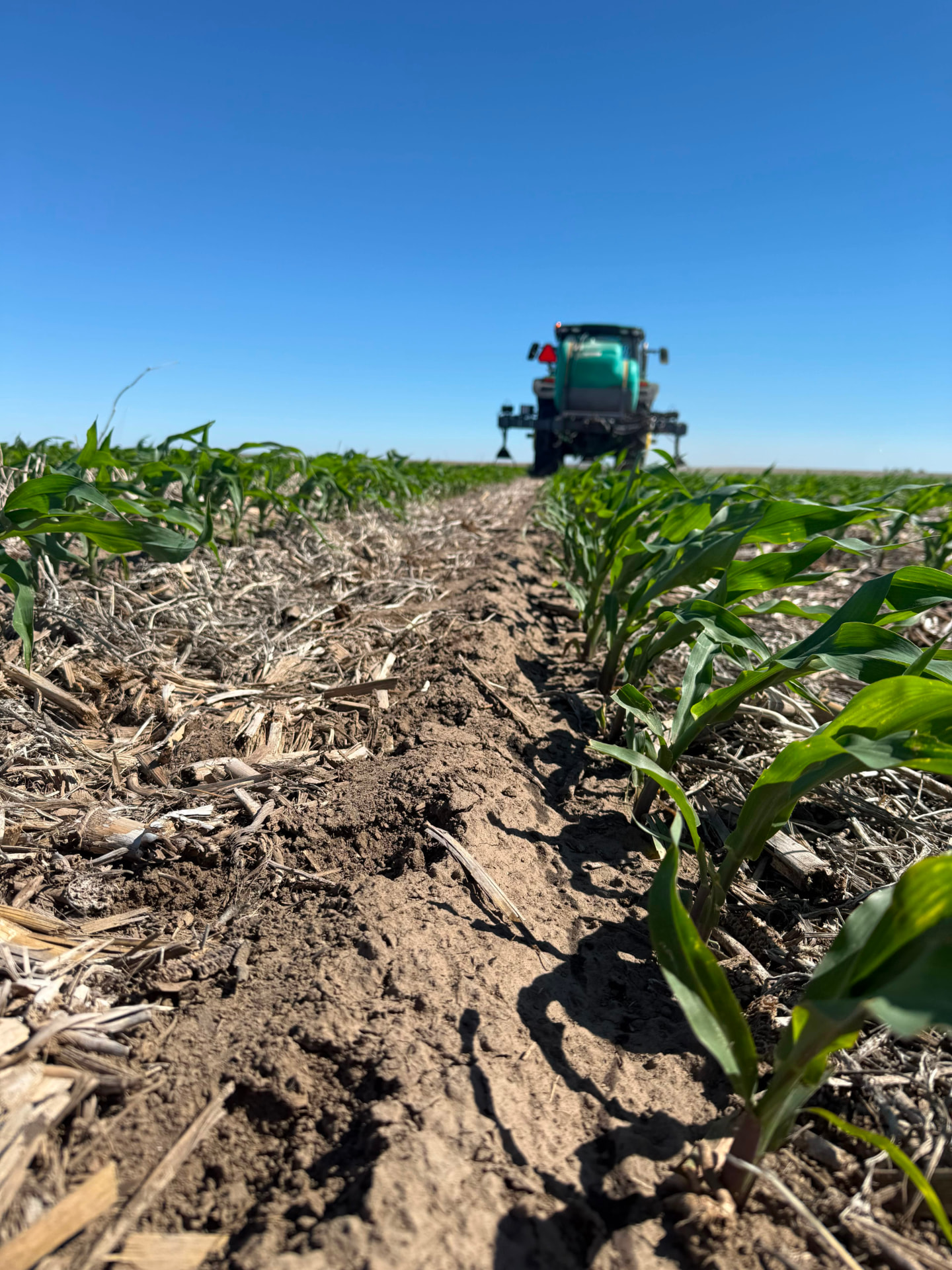 GenuiNX being applied to young corn rows in the field